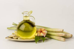 زيت السترونيلا الأساسي