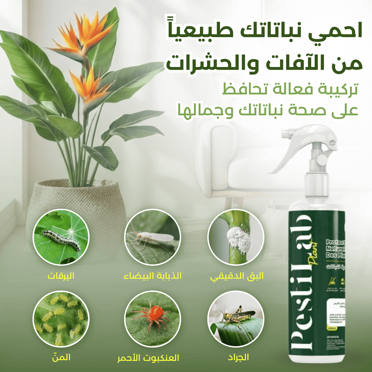 PestiLab - Protecteur Naturel Des Plantes