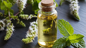 زيت النعناع الفلفلي الأساسي 